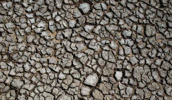 Struktur dan Tekstur Tanah